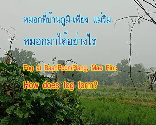 The fog appeared around the BaanPoomPiang Mae Rim Chiang Mai.